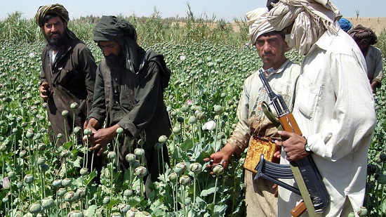 опиум в Афганистане